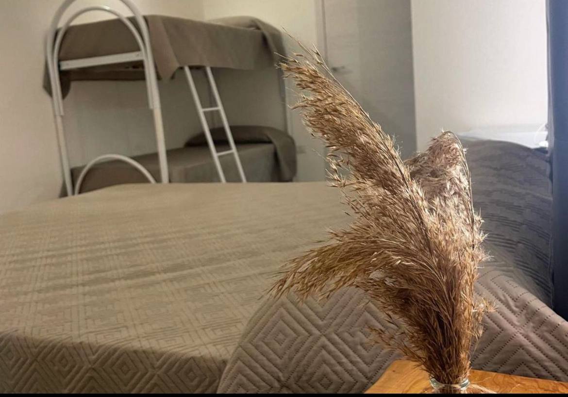 IMAGE 2024-06-12 15:28:54